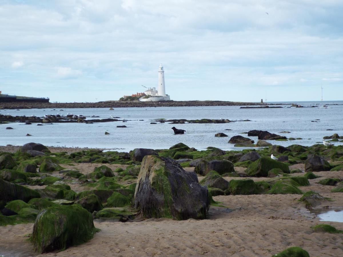 Boquhanran Caravan, Whitley Bay Hartley Ngoại thất bức ảnh